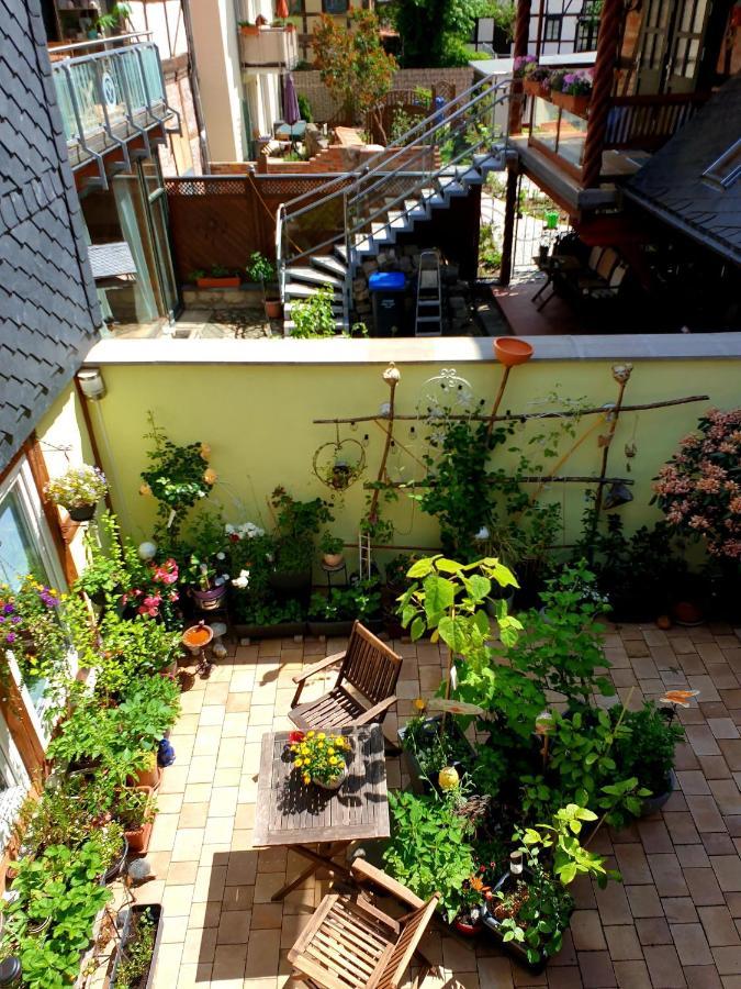 Ferienwohnung Goldstr.7 クヴェードリンブルク エクステリア 写真
